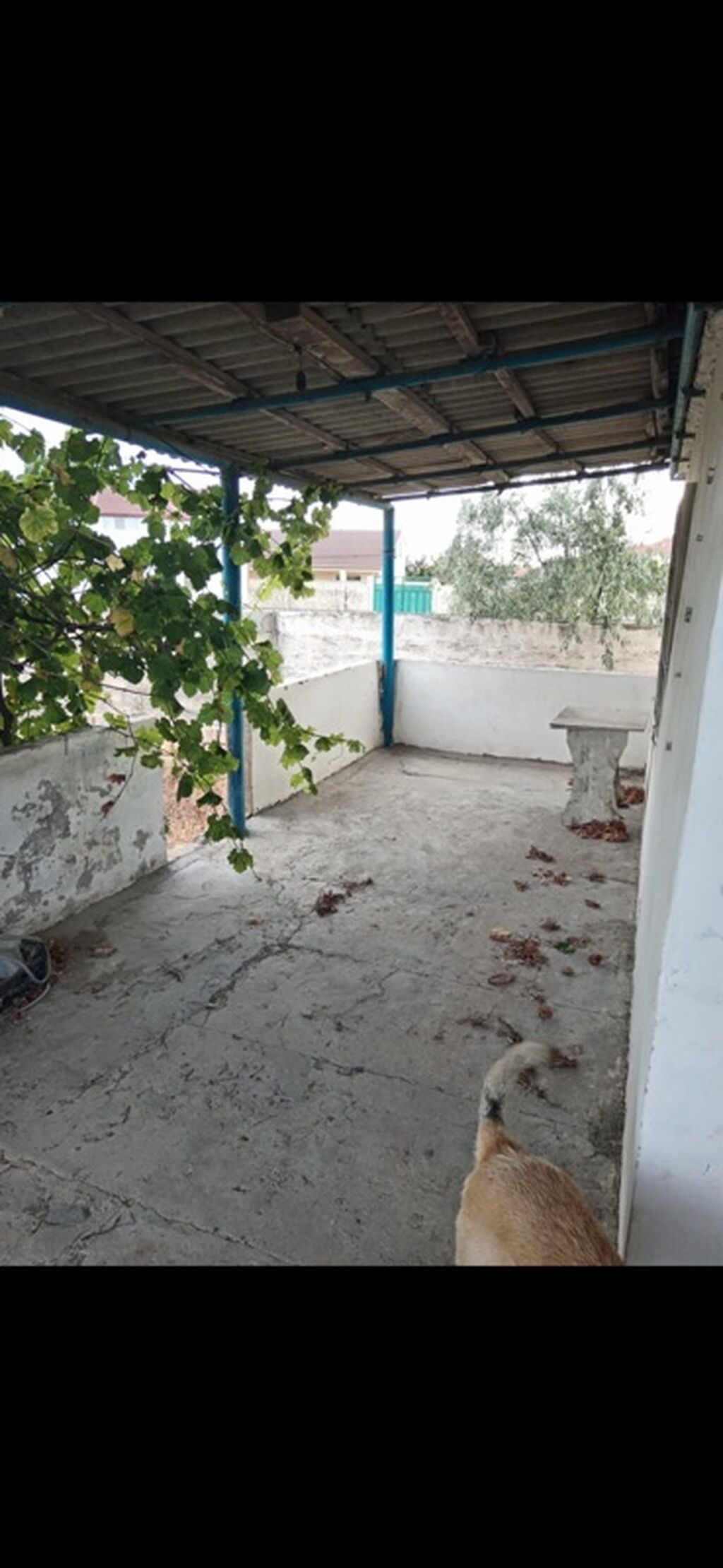 12 sot, Tikinti, Mülkiyyətçi, Kupça (Çıxarış)