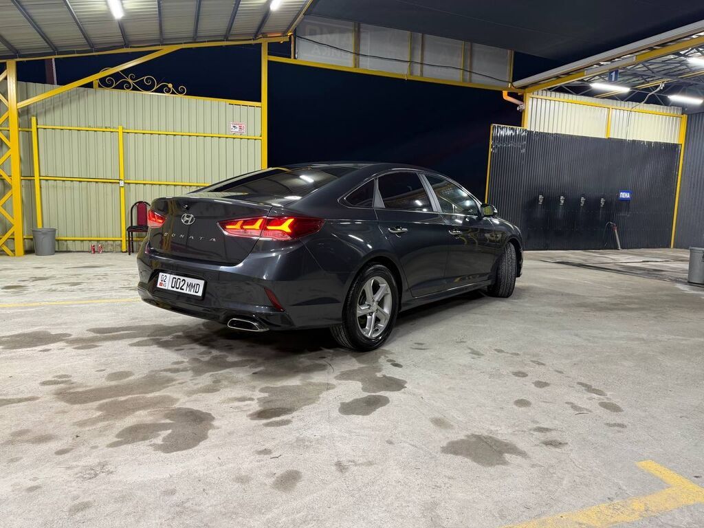 Hyundai Sonata: 2019 г., 0.2 л, Автомат, Газ, Седан: фото 8