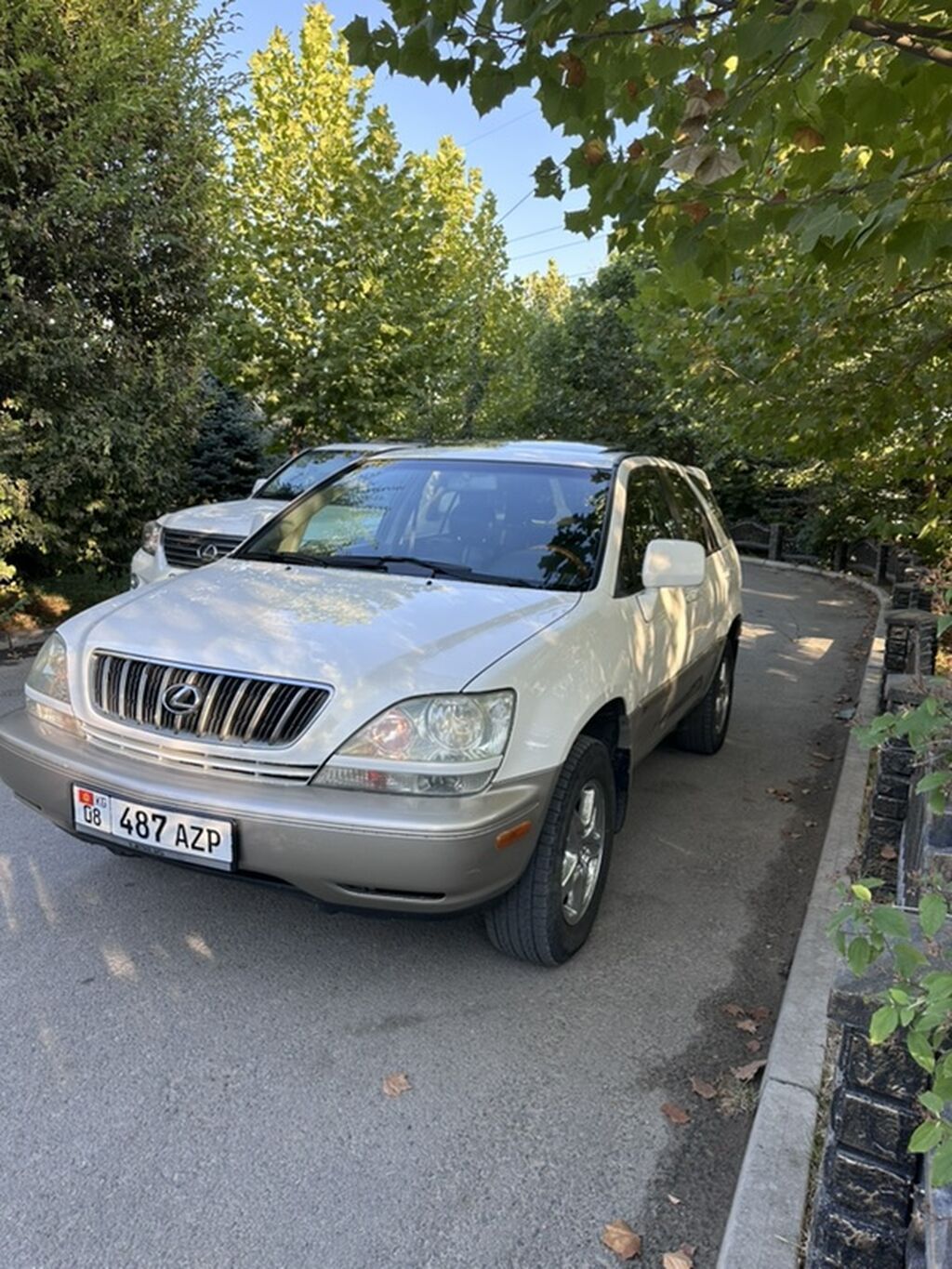 Lexus RX: 2001 г., 3 л, Автомат, Бензин, Кроссовер: фото 3