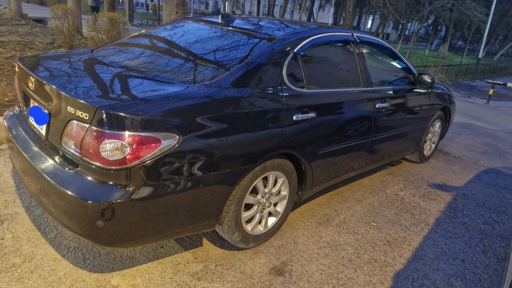 Lexus ES: 2003 г., 3 л, Автомат, Бензин, Седан: фото 2