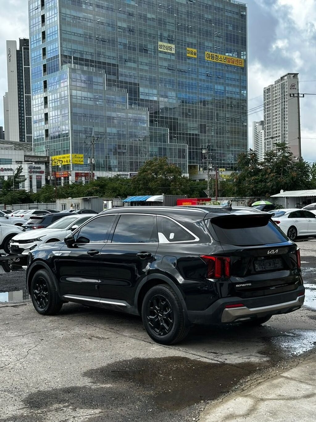 Kia Sorento: 2024 г., 1.6 л, Автомат, Гибрид, Кроссовер: фото 6