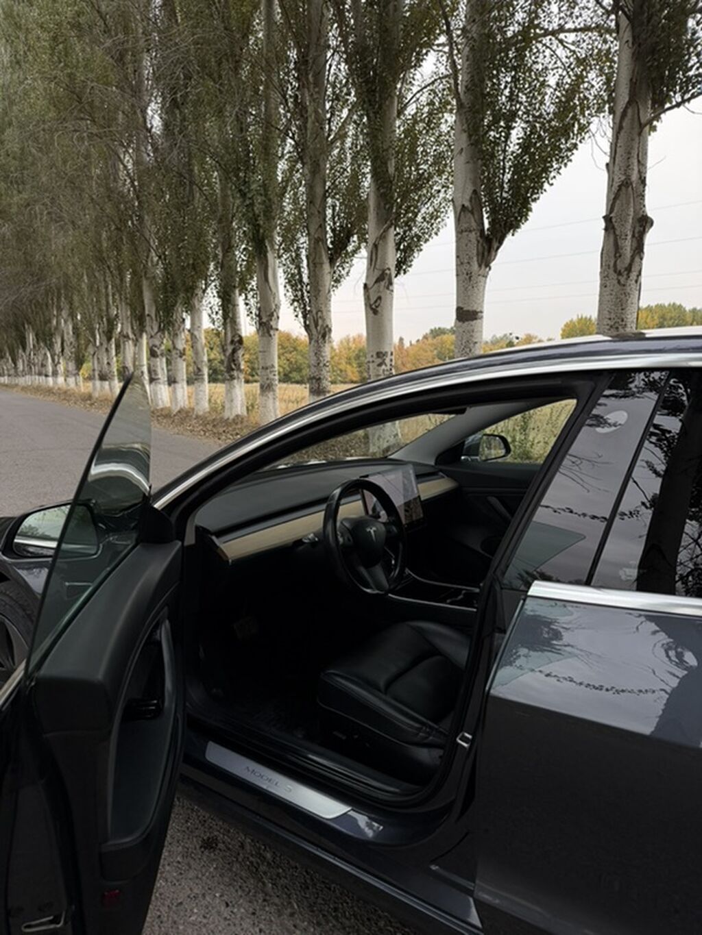 Tesla Model 3: 2018 г., 0.1 л, Автомат, Электромобиль, Седан: фото 6