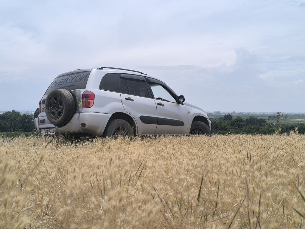 Toyota RAV4: 2003 г., 2 л, Автомат, Бензин, Кроссовер: фото 2