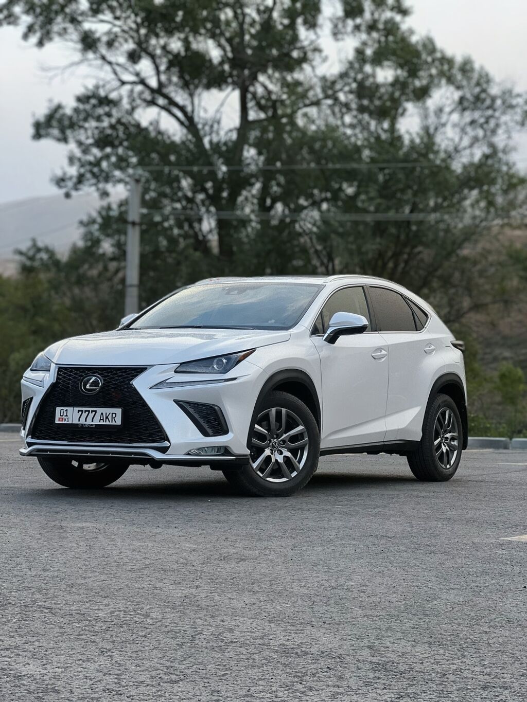 Lexus NX: 2018 г., 2 л, Типтроник, Бензин, Кроссовер: фото 2
