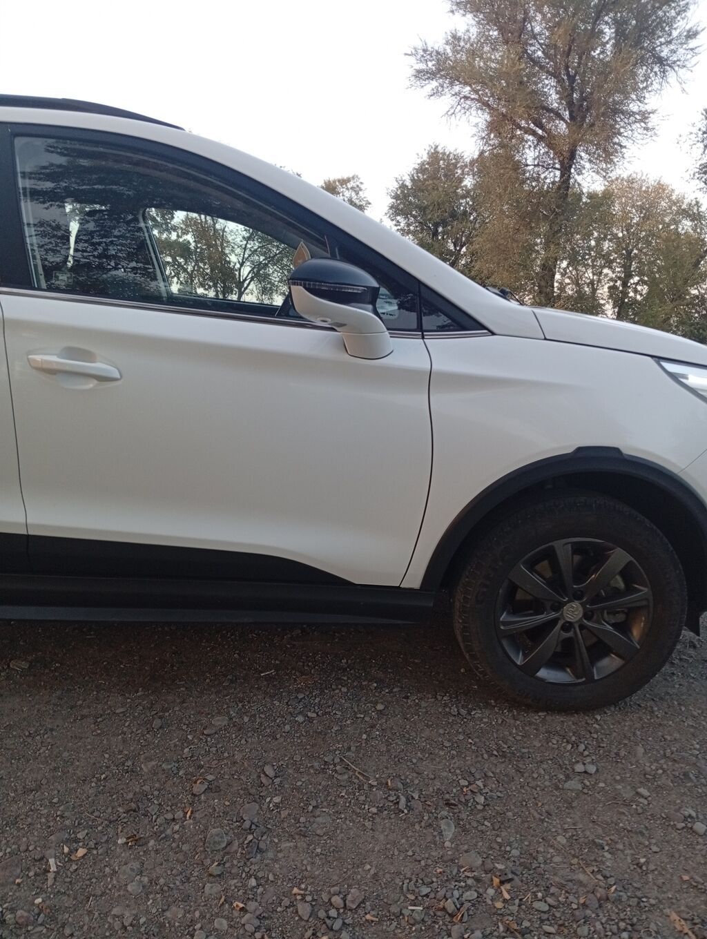 BYD Yuan: 2019 г., 0.1 л, Автомат, Электромобиль, Кроссовер: фото 5