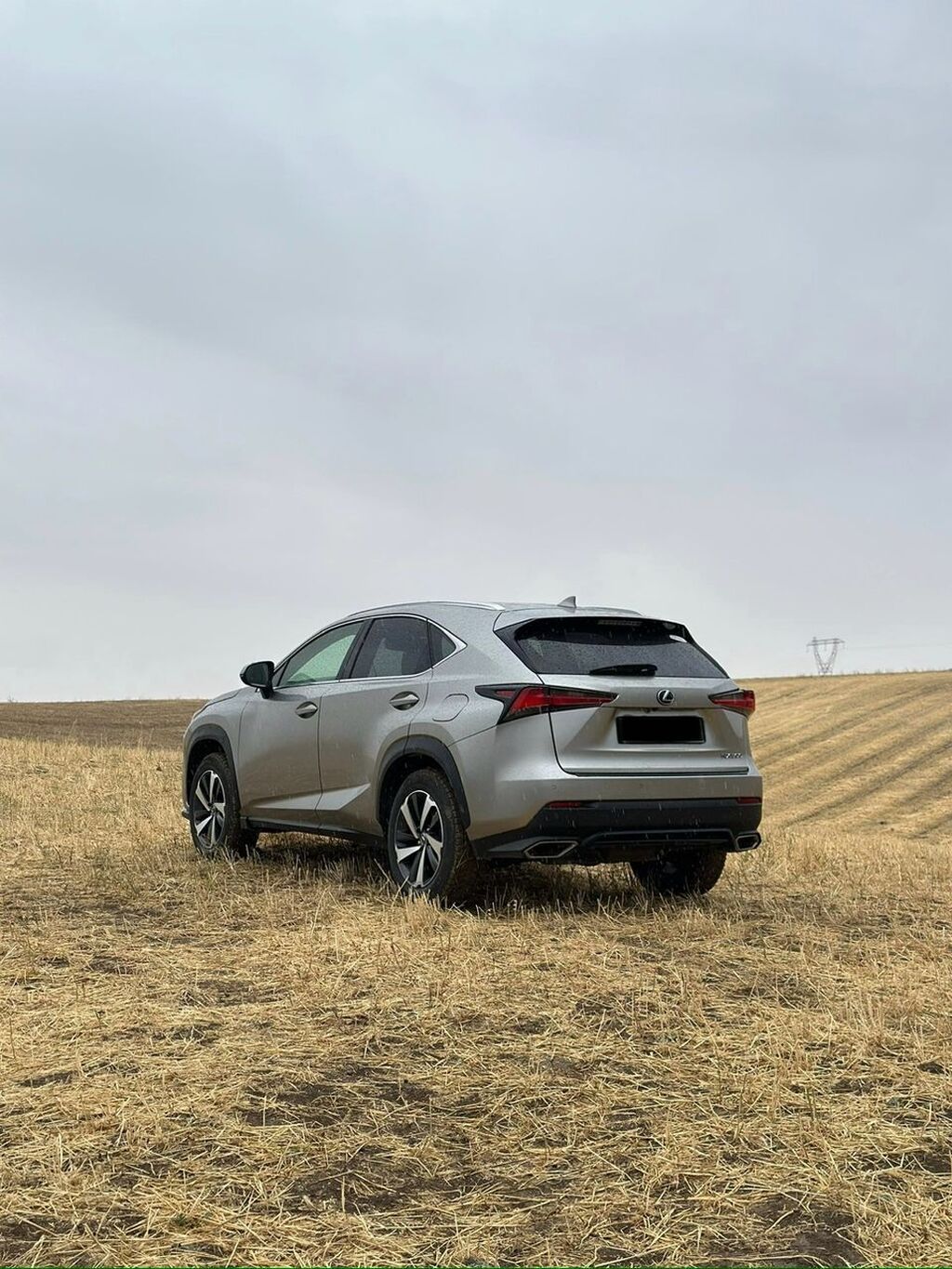 Lexus NX: 2019 г., 2 л, Автомат, Бензин, Кроссовер: фото 3