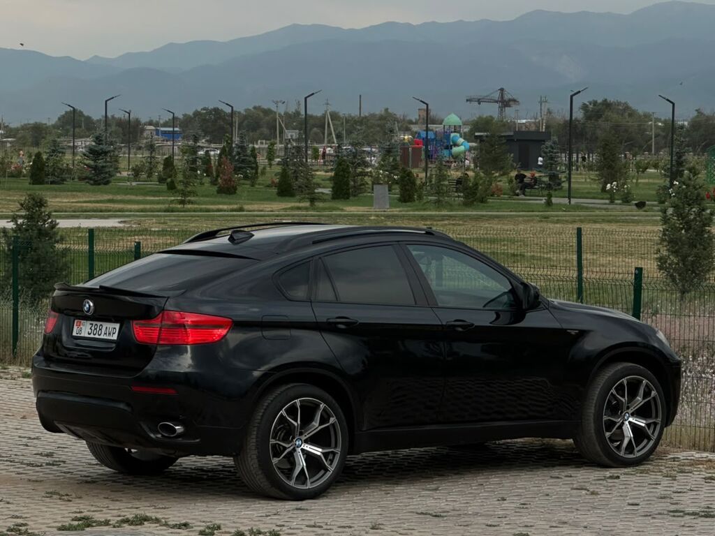 BMW X6: 2009 г., 3 л, Автомат, Бензин, Кроссовер: фото 8