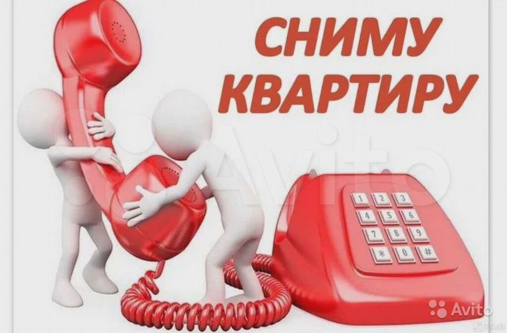 Где живем аренда