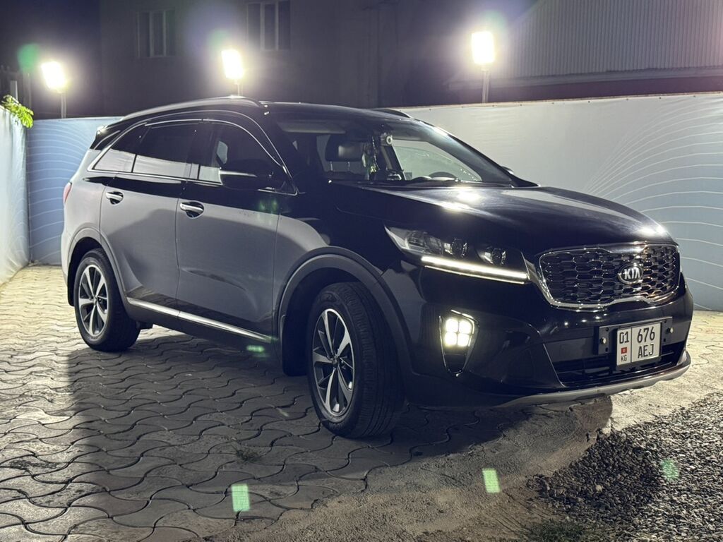 Kia Sorento: 2019 г., 2 л, Автомат, Дизель, Кроссовер: фото 4