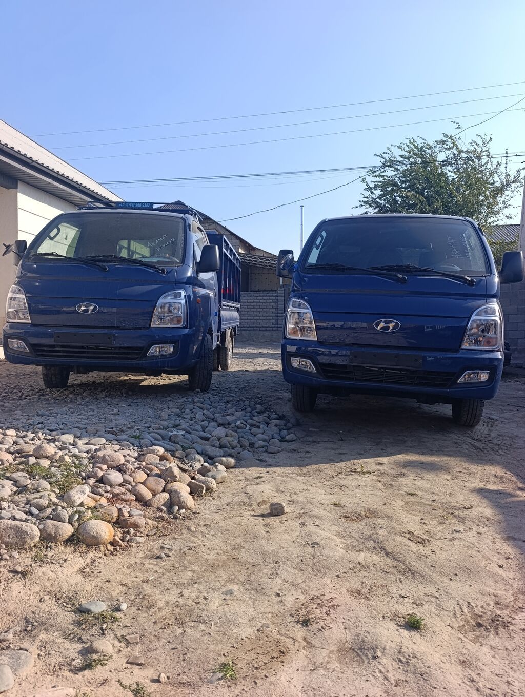 Легкий грузовик, Hyundai, Стандарт, 3 т, Новый: фото 4