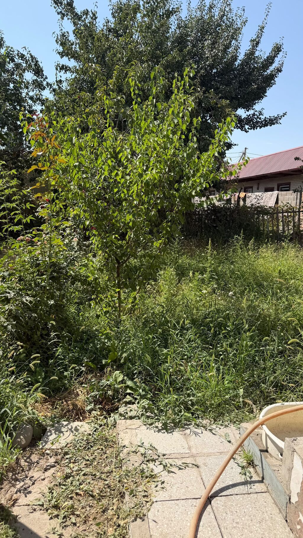 Эксклюзив! В ПРОДАЖЕ ДОМ Ж/м Арча-Бешик, Жоогазын / Магистраль: фото 7