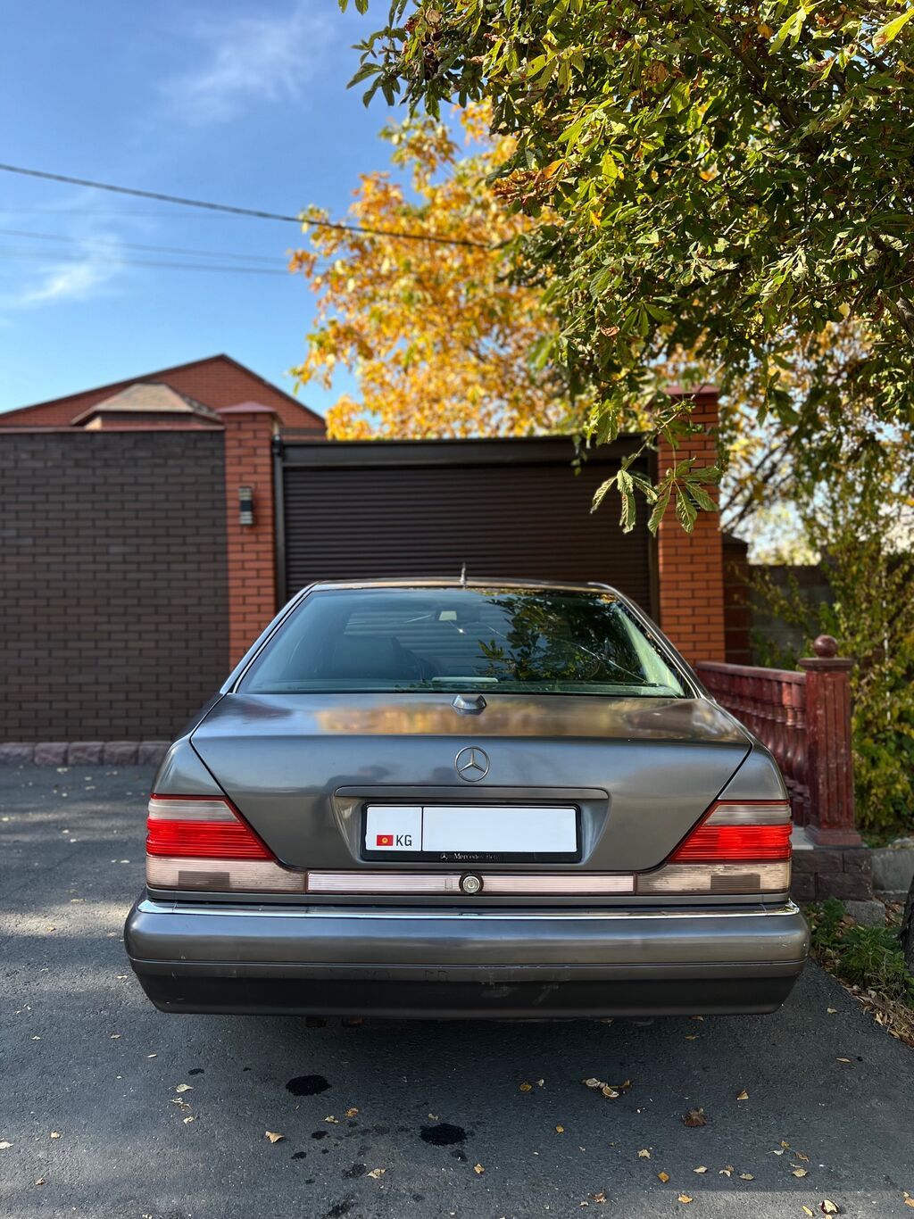 Mercedes-Benz S-Class: 1995 г., 5 л, Автомат, Бензин, Седан: фото 4