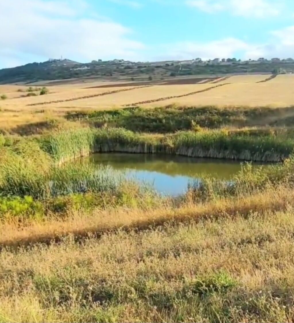 1100 sot, Tikinti, Maklerlər narahat etməsin, Kupça (Çıxarış)