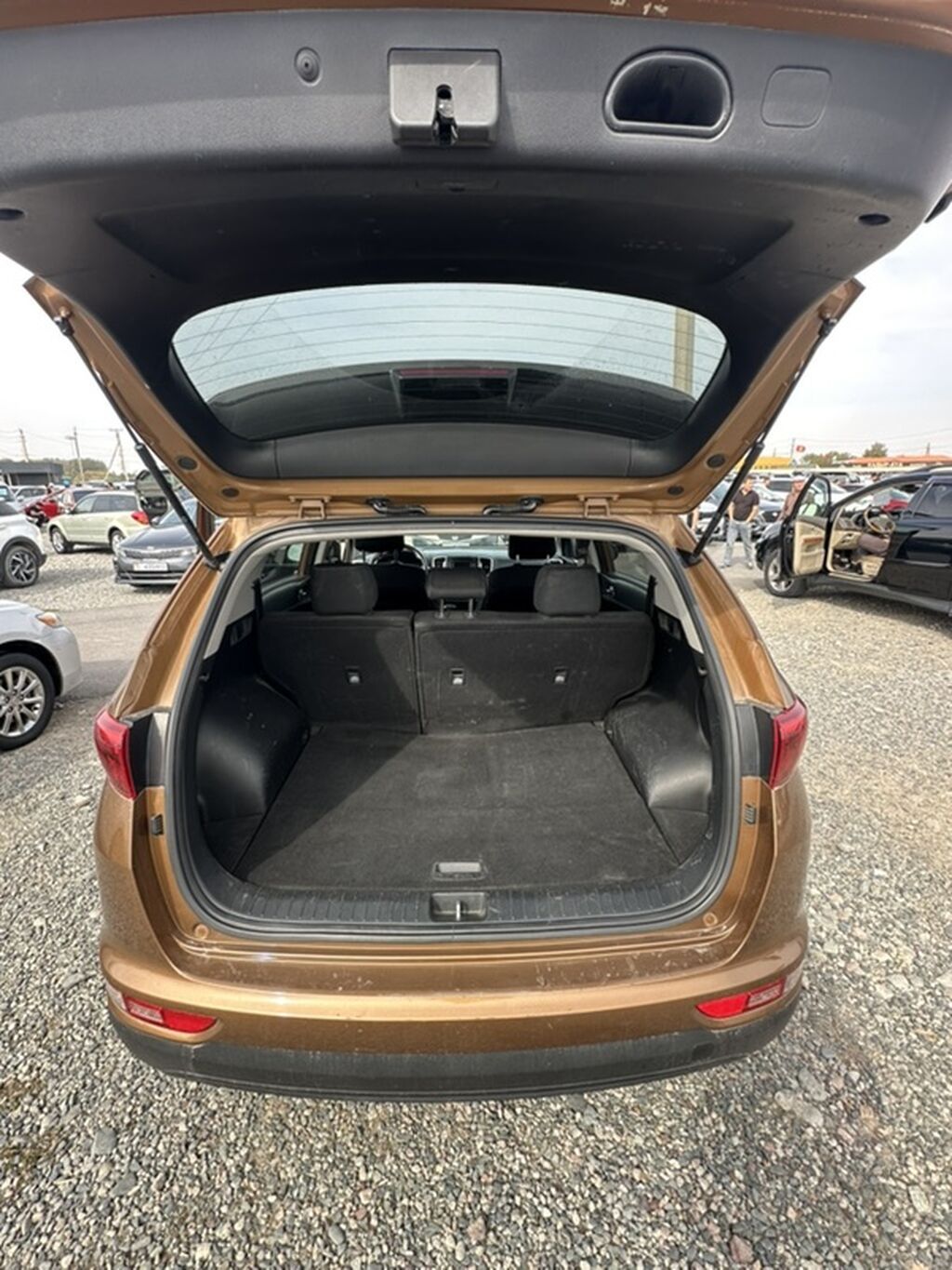 Kia Sportage: 2019 г., 2.4 л, Автомат, Бензин, Кроссовер: фото 4