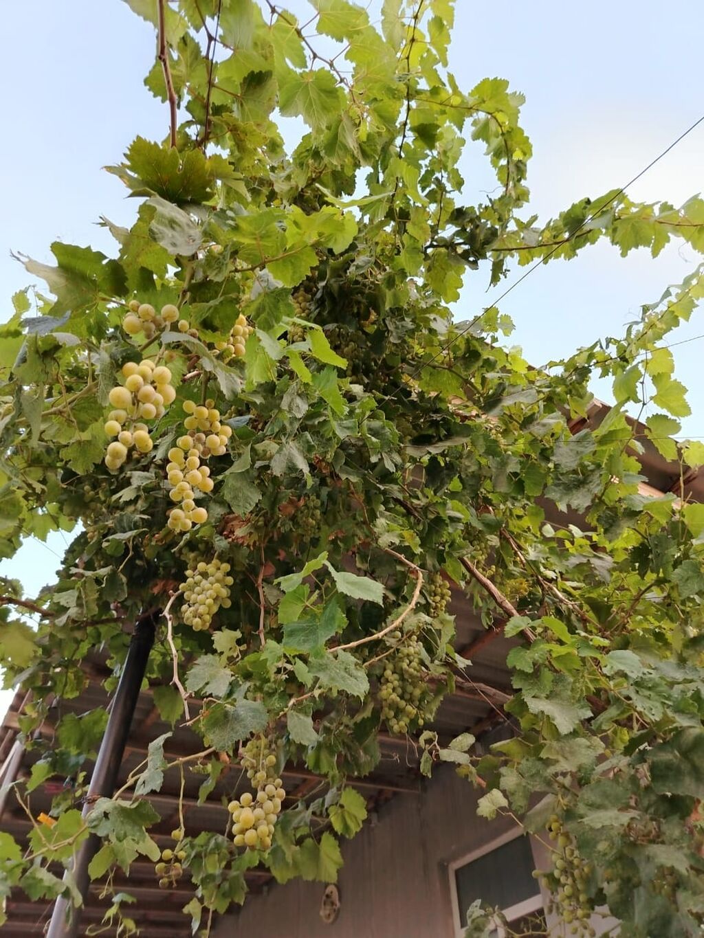 4-room house for sale in Maştağa, 150 m², 132 000 AZN, photo 5 / 12