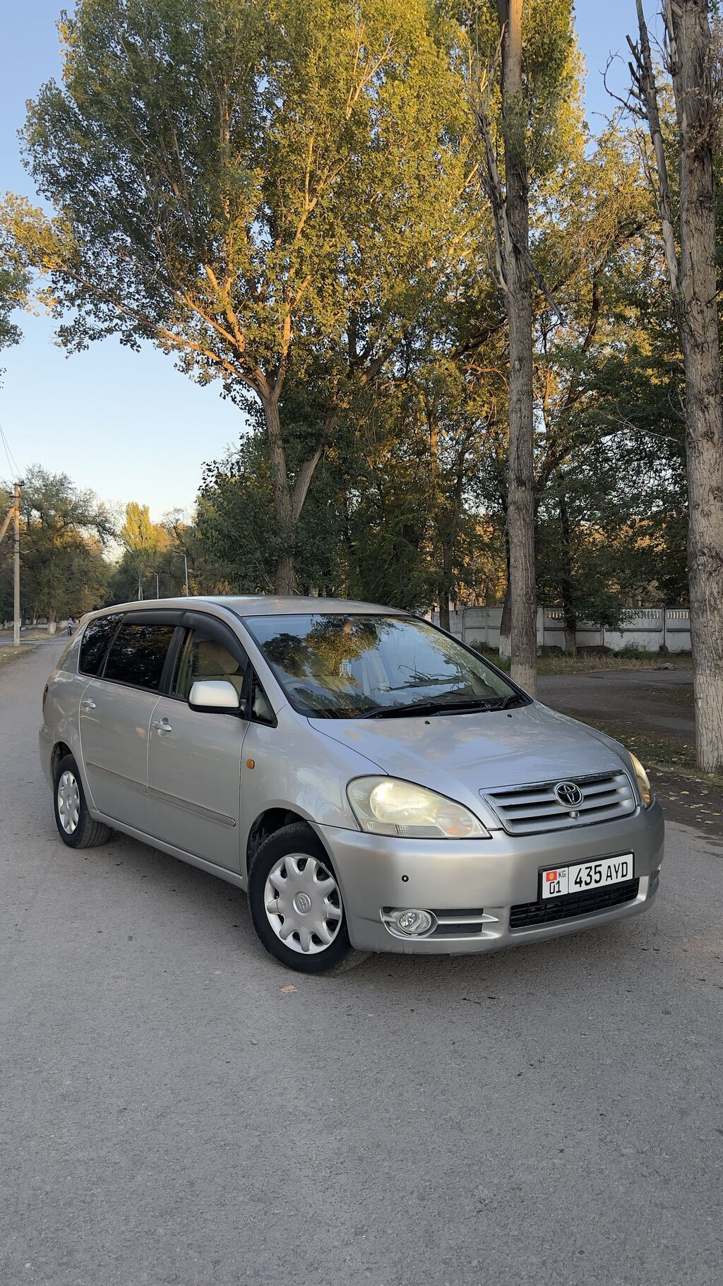 Toyota Ipsum