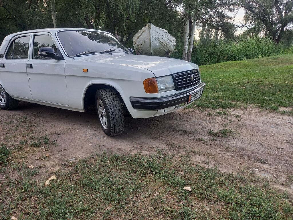 ГАЗ 31029 Volga: 1994 г., 2.4 л, Механика, Бензин, Седан: фото 7