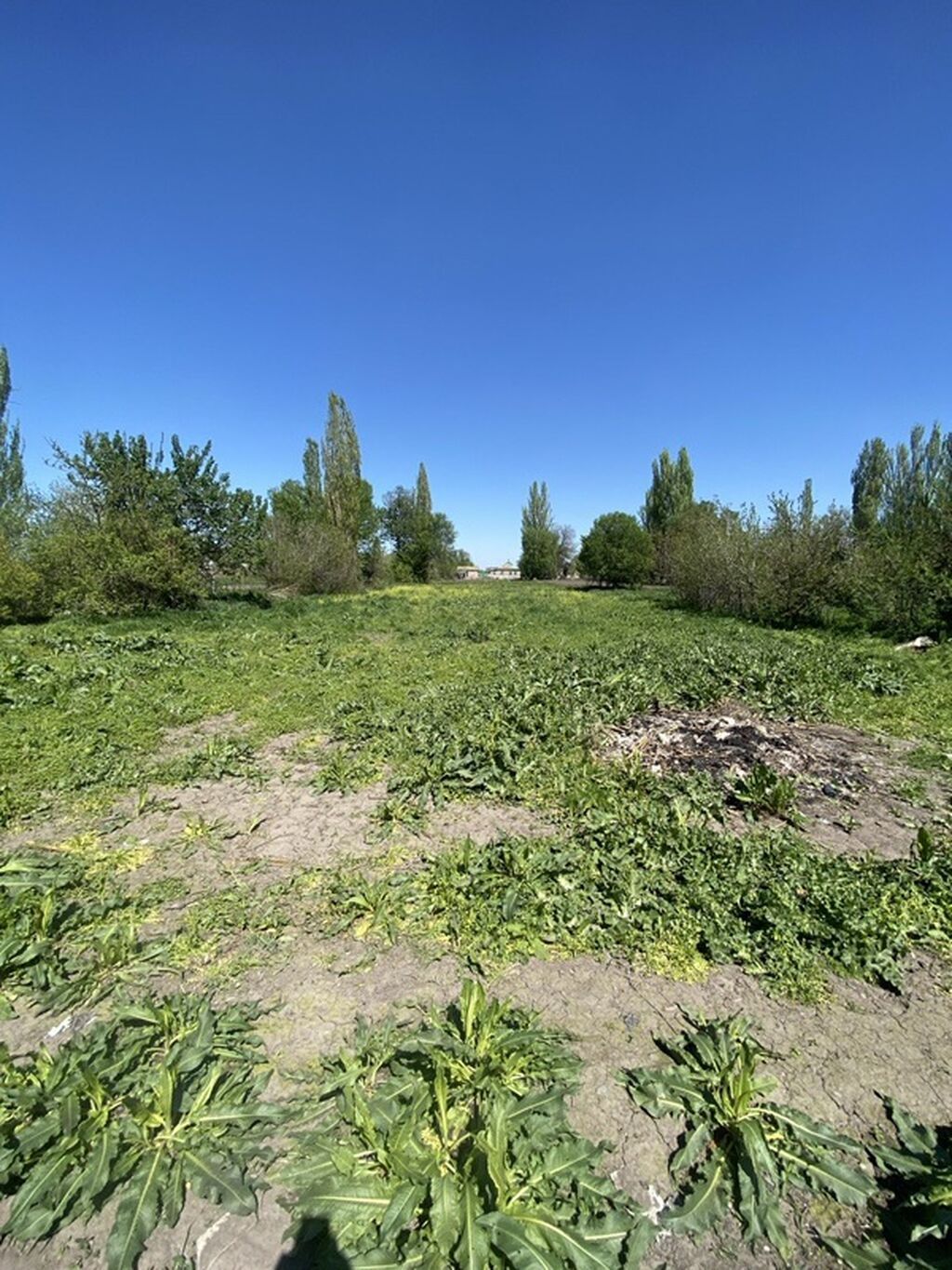Продам земельный участок 29.5 соток в с. Петровка: фото 2