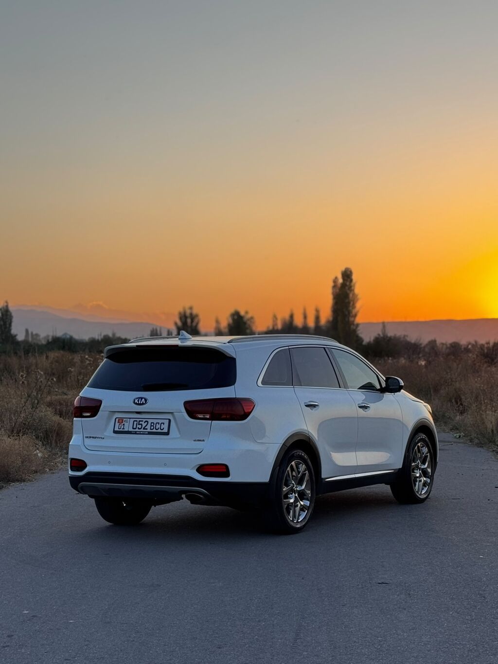 Kia Sorento: 2019 г., 2 л, Автомат, Бензин, Кроссовер: фото 5