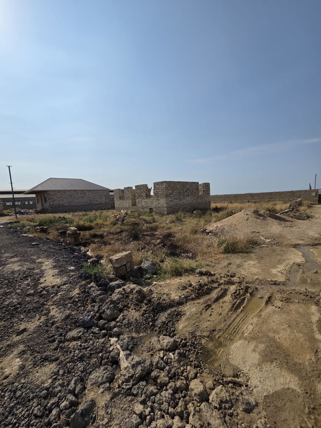 Tikinti