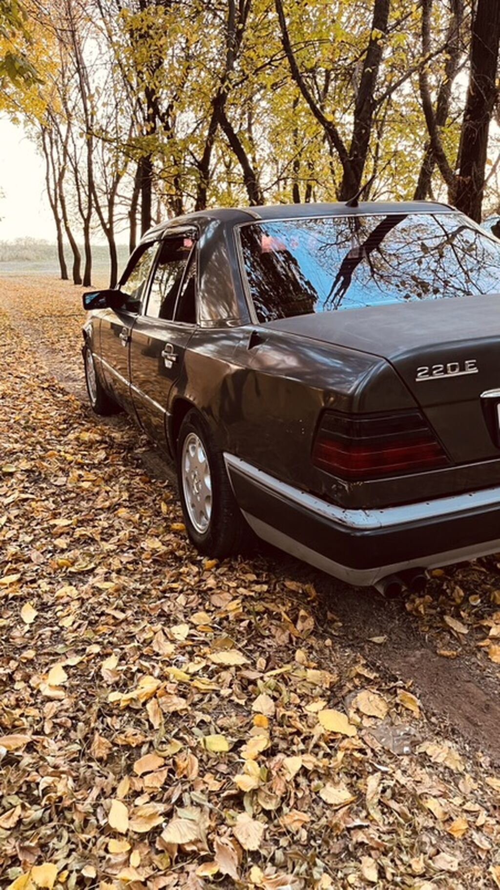 Mercedes-Benz W124: 1994 г., 2 л, Механика, Бензин, Седан: фото 6