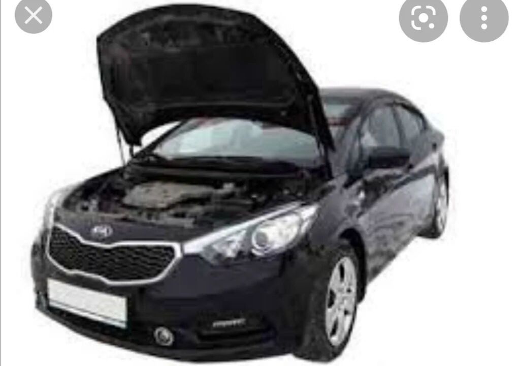 Купить Амортизаторы Капота На Киа