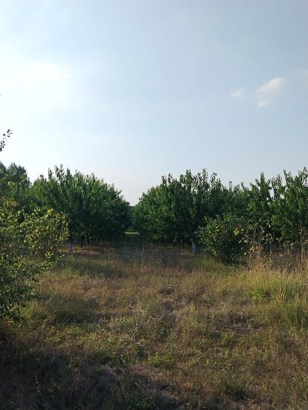 180 sot Kənd təsərrüfatı, Su