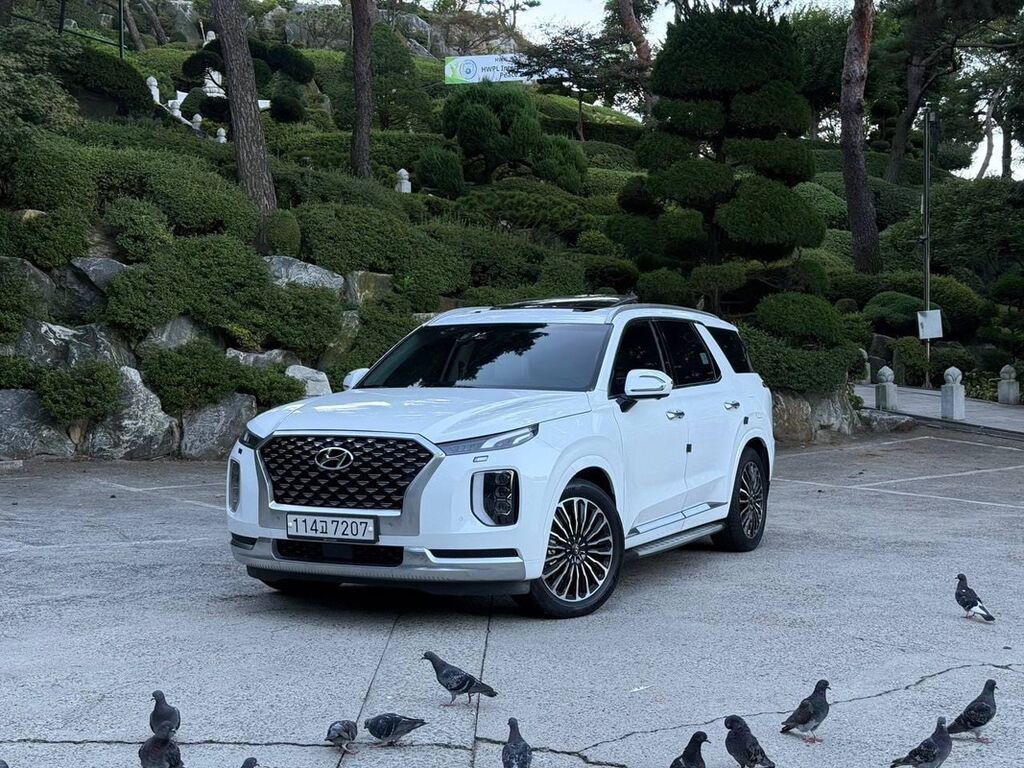 Hyundai Palisade: 2021 г., Кроссовер: фото 2