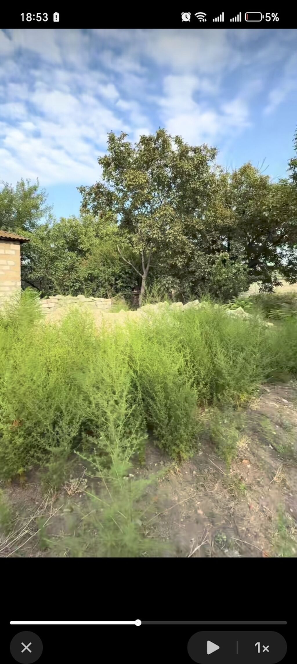 10 sot, Tikinti, Barter mümkündür, Kupça (Çıxarış)