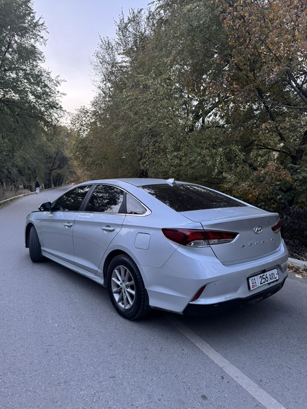 Hyundai Sonata: 2018 г., 2 л, Автомат, Газ, Седан: фото 7