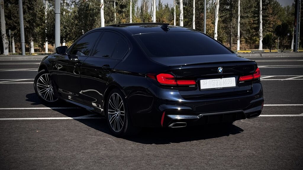 BMW 5 series: 2019 г., 2 л, Автомат, Бензин, Седан: фото 4