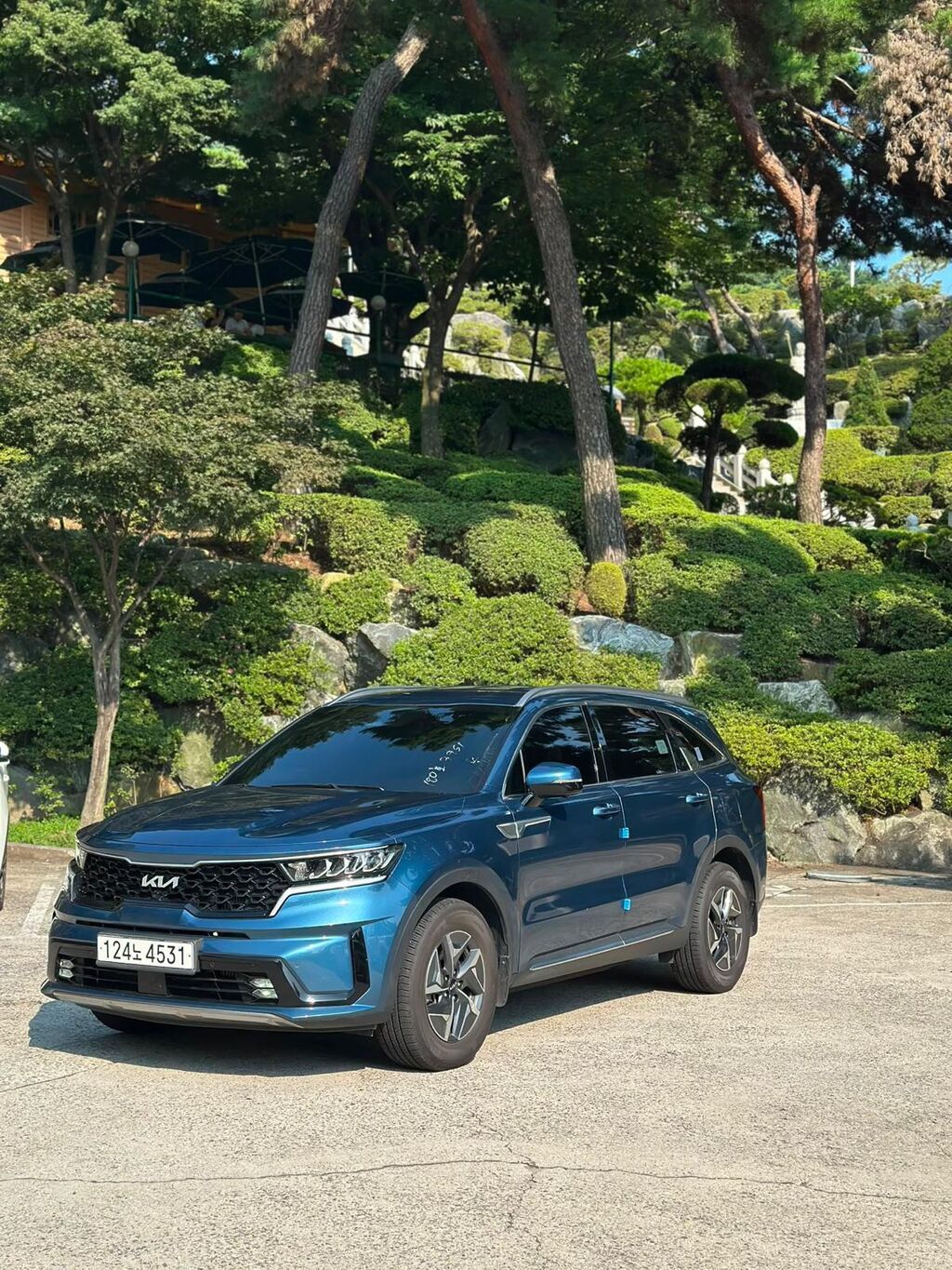 Kia Sorento: 2022 г., 1.6 л, Автомат, Гибрид, Кроссовер: фото 2