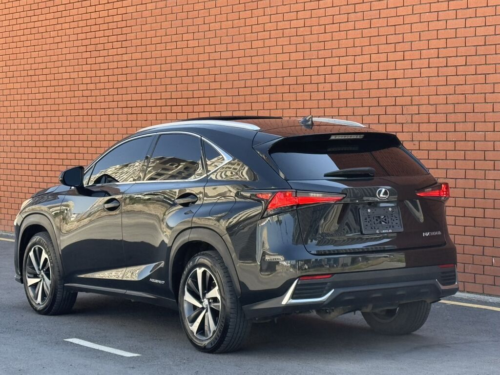 Lexus NX: 2019 г., 2.5 л, Вариатор, Гибрид, Кроссовер: фото 6
