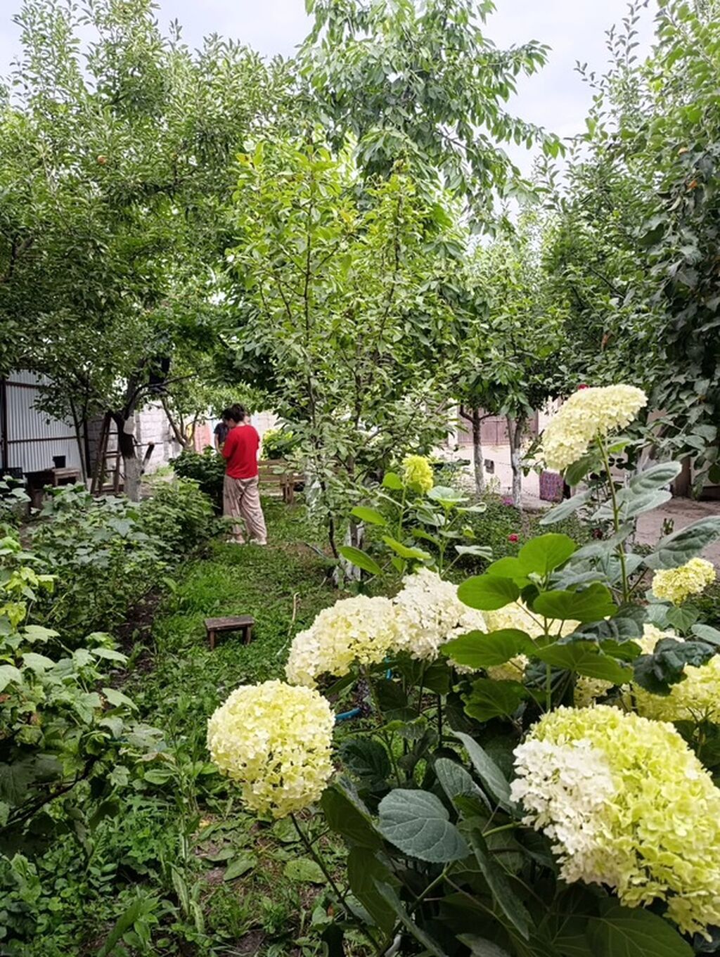 Квартира берилет! БЕЗ ХОЗЯИНА! Короо тозулган, соонун огород: фото 7