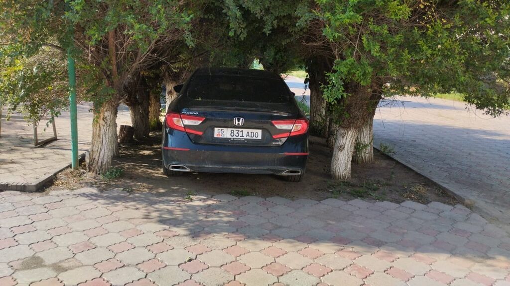 Honda Accord 2018, 1.5 л, бензин, седан: фото 2