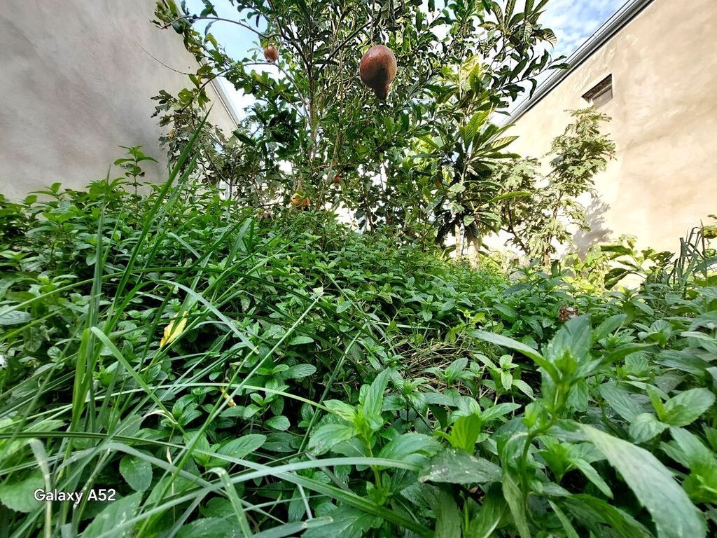 Binədə 3 otaqlı həyət evi satılır, 85 m², 65 000 AZN, şəkil 3 / 12