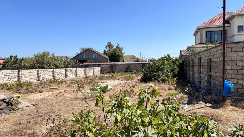 9 sot, Tikinti, Mülkiyyətçi, Kupça (Çıxarış)