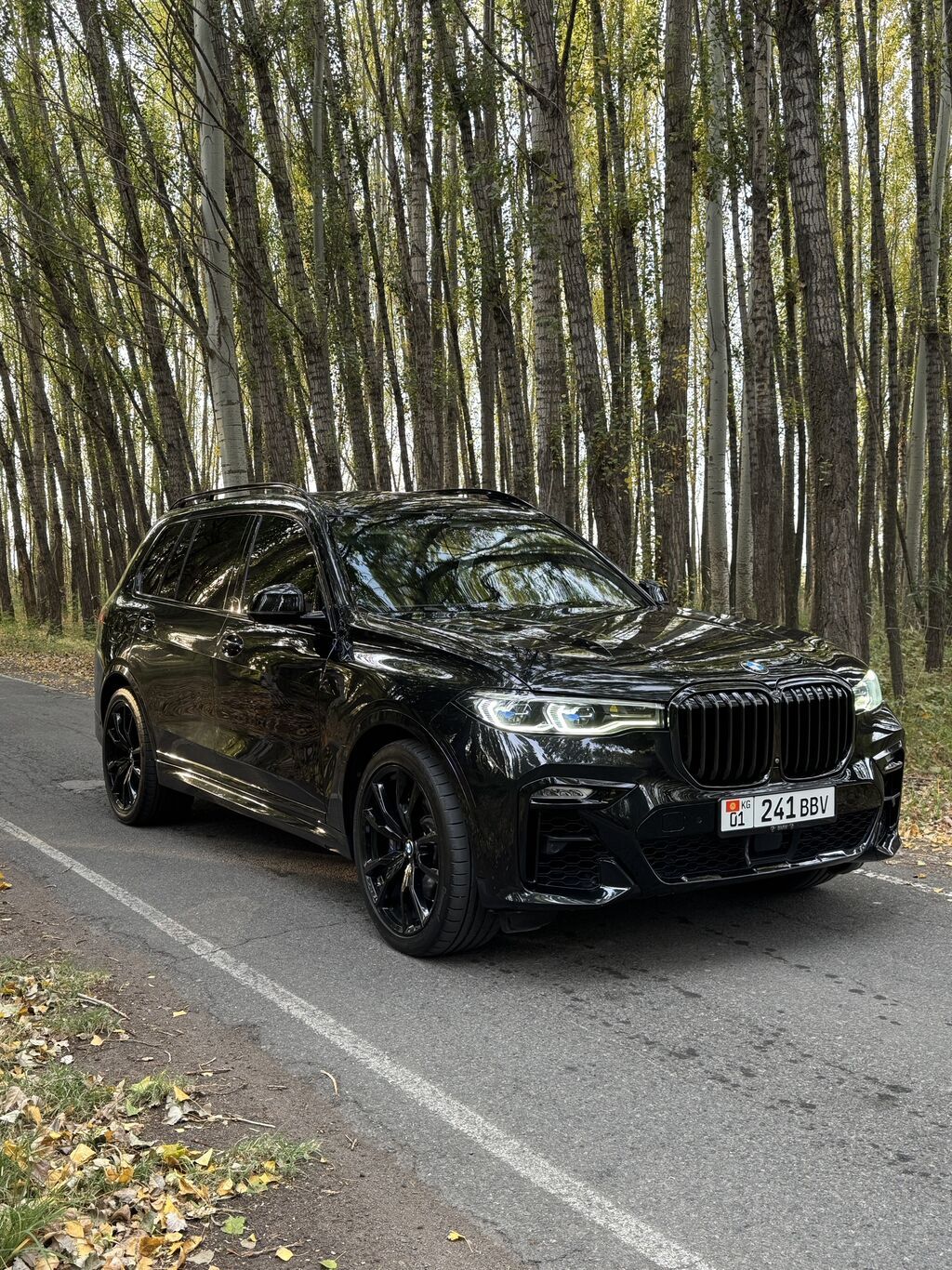 BMW X7: 2019 г., 4.4 л, Бензин, Внедорожник: фото 3