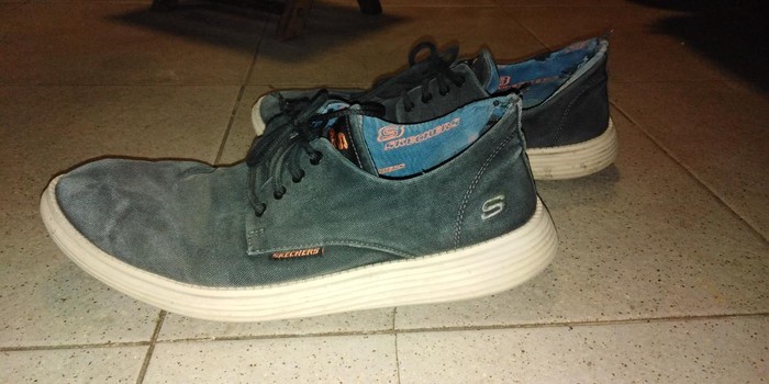 skechers patike zenske office shoes