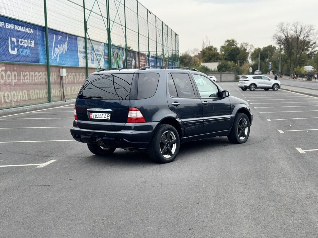 Mercedes-Benz M-Class: 2003 г., 4 л, Автомат, Дизель, Кроссовер: фото 5