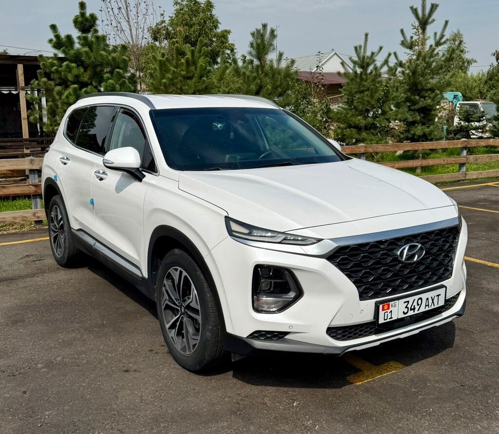 Hyundai Santa Fe: 2019 г., 2.2 л, Автомат, Дизель, Кроссовер: фото 1
