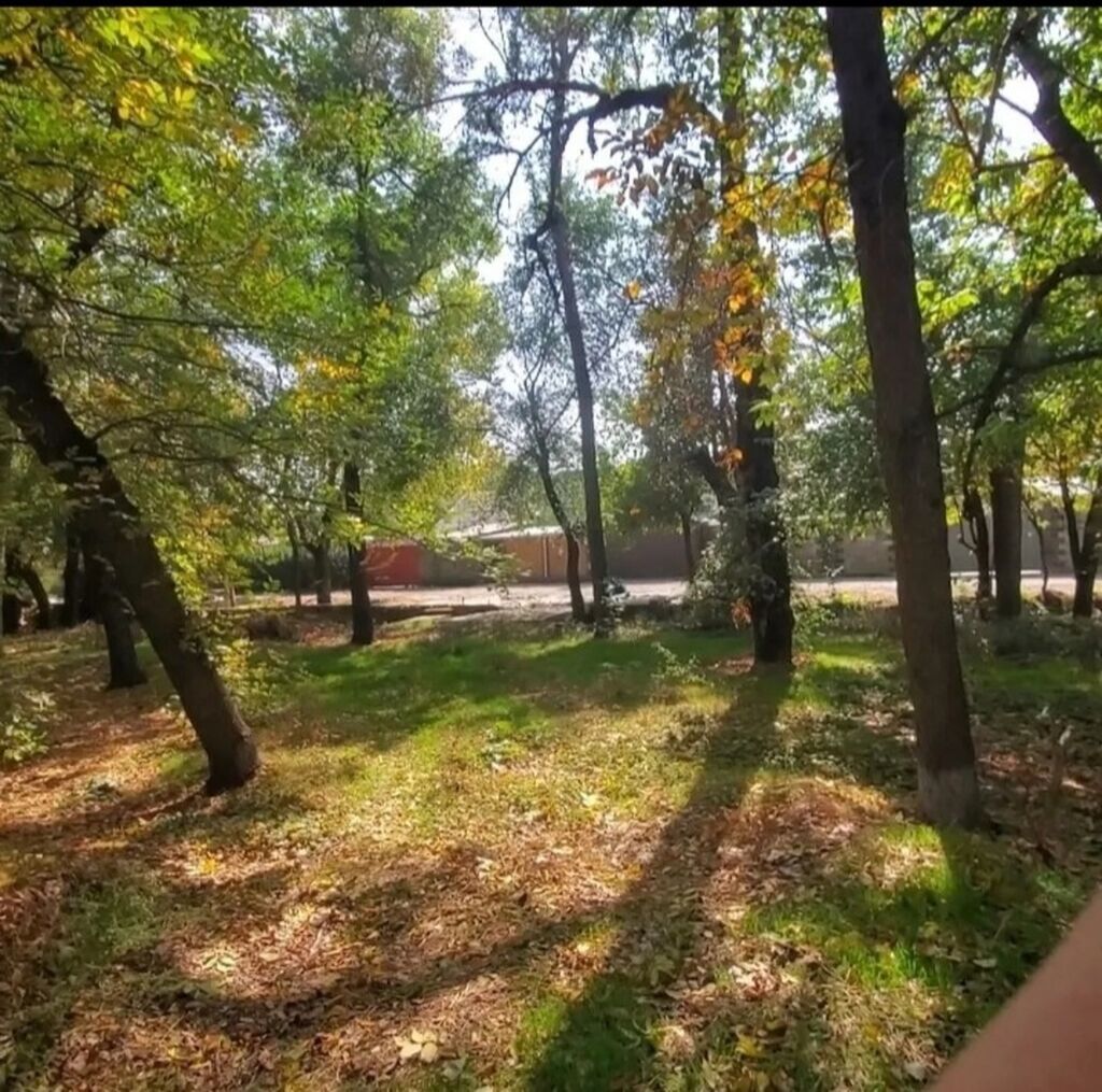 3 соток, Для строительства, Красная книга, Тех паспорт, Договор купли-продажи: фото 8