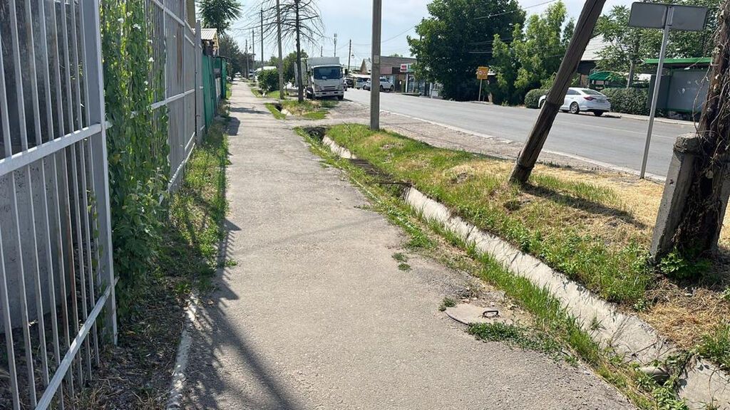 4 соток, Для бизнеса, Красная книга, Договор купли-продажи: фото 6
