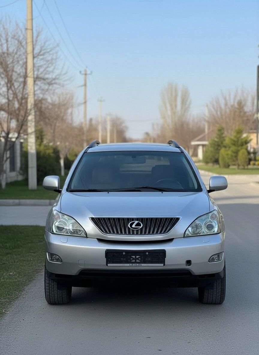 Lexus RX: 2004 г., 3 л, Автомат, Газ, Кроссовер: фото 1