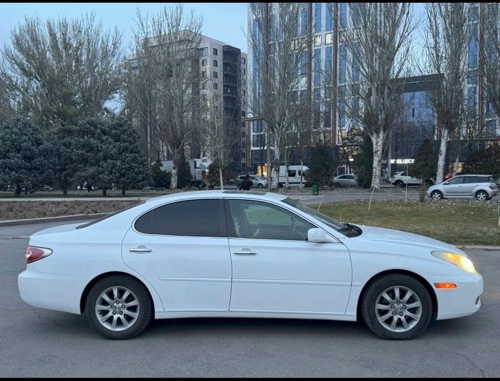 Lexus ES: 2003 г., Автомат, Бензин, Седан: фото 5