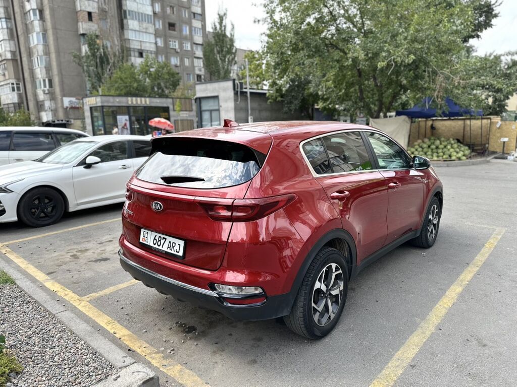 Kia Sportage: 2020 г., 2.4 л, Автомат, Бензин, Кроссовер: фото 3