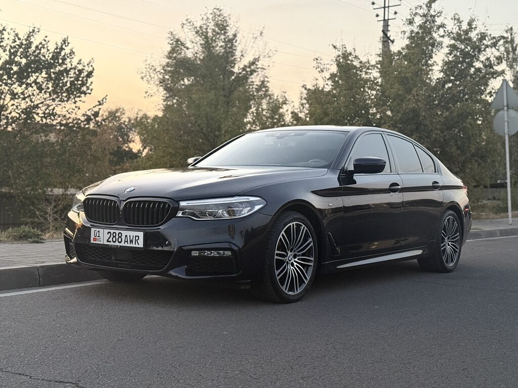 BMW 5 series: 2018 г., 2 л, Автомат, Бензин, Седан: фото 4