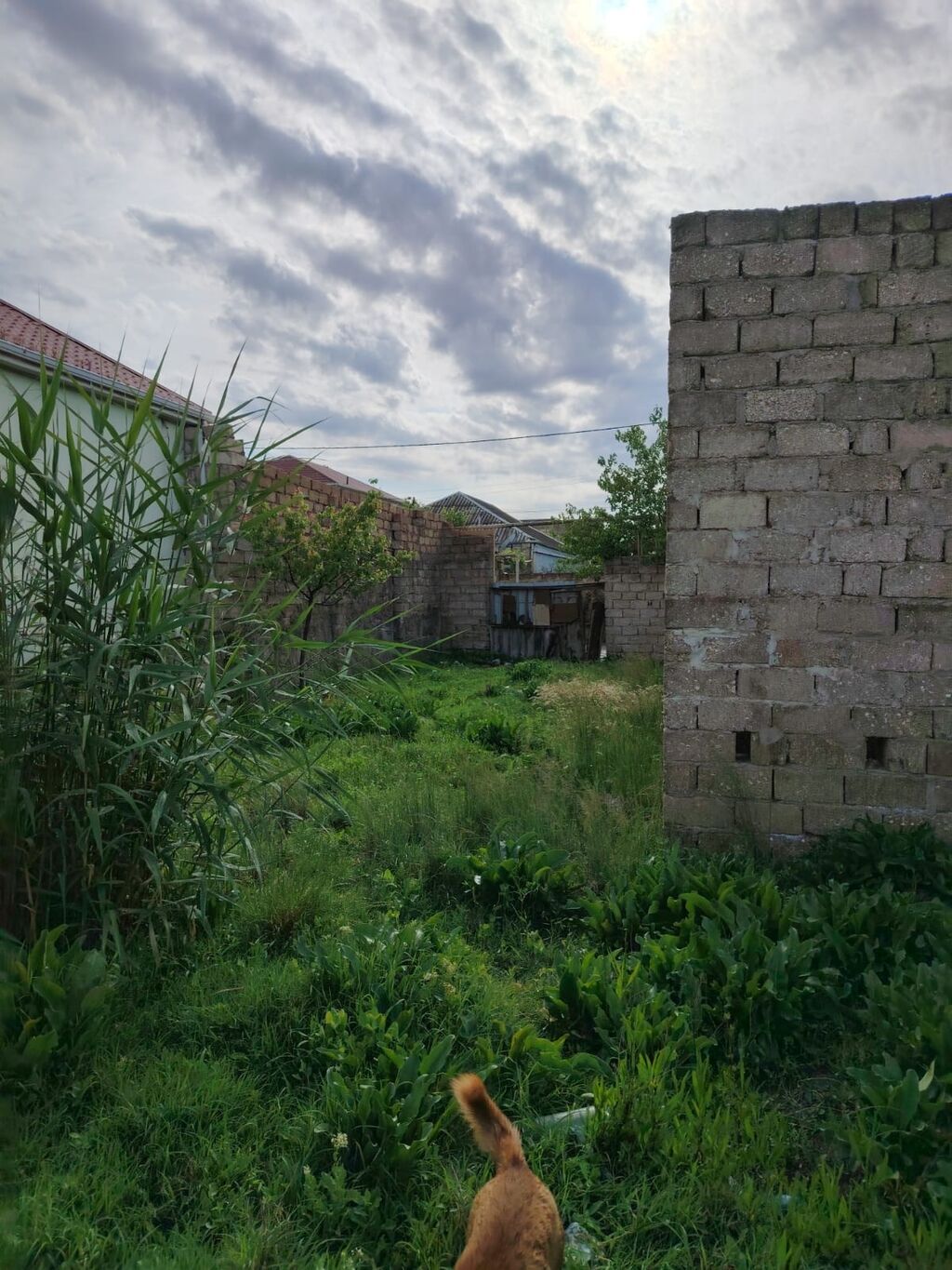 Təcili Satılır: yarımçıq tikili və həyət sahəsi - Material: daş hörgü
