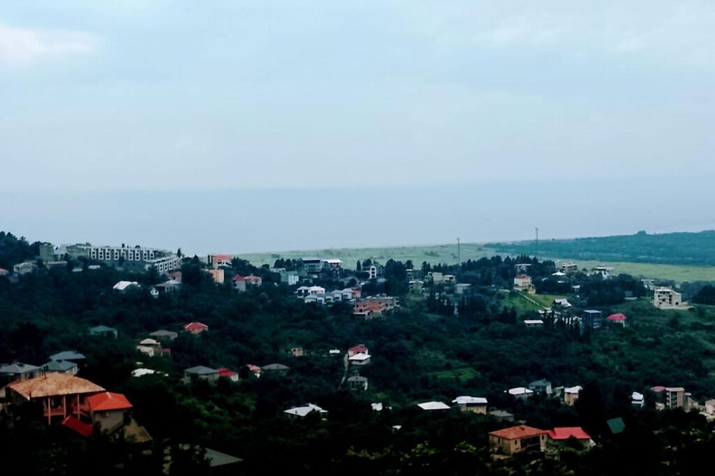 Tikinti