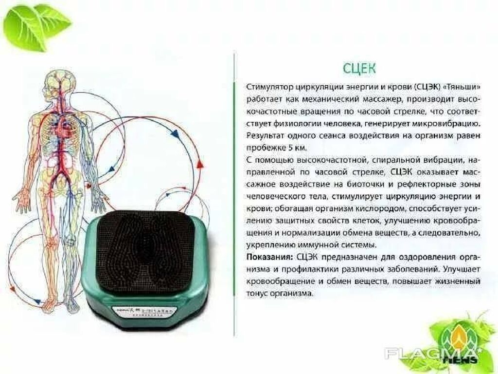 Стимулятор циркуляции энергии и крови TIENS (СЦЭК), модель S-780: фото 4